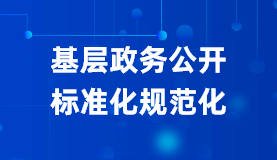 基层政务公开标准化规范化